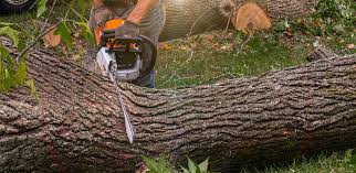 Best Soil Testing and Treatment  in Rio Del Mar, CA